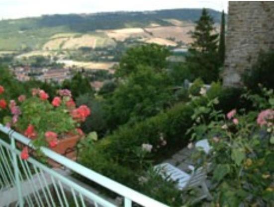 Serra San Quirico B&B Il Colle מראה חיצוני תמונה