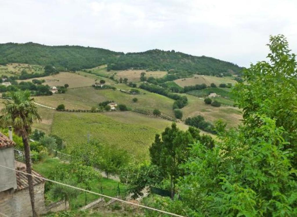 Serra San Quirico B&B Il Colle מראה חיצוני תמונה